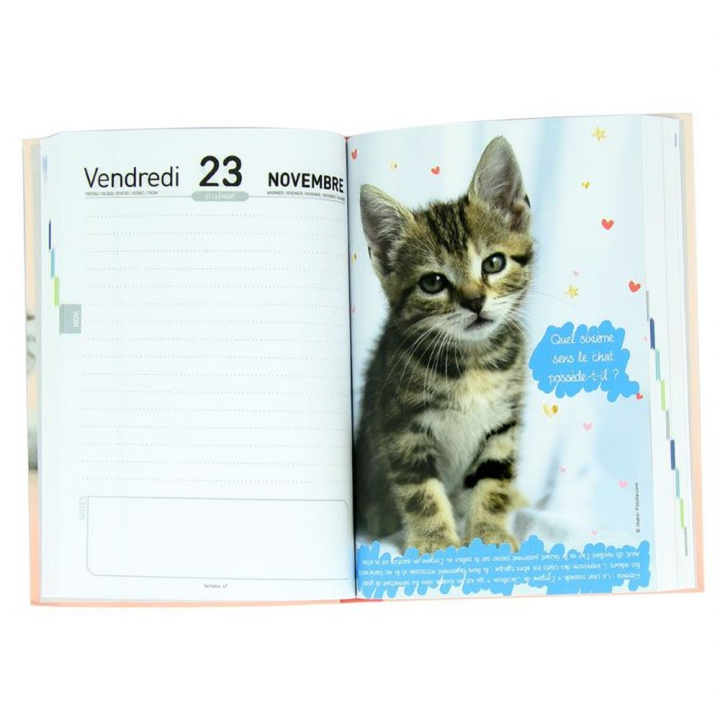 Agenda scolaire 2018-19 journalier 12 x 17 cm Chaton - Editions Oberthur - Rougier et Plé