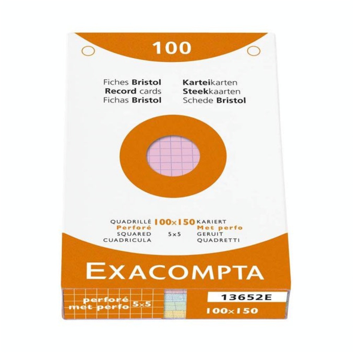 Fiche Bristol couleurs assorties Q 5x5 100 feuilles - Exacompta - Rougier et Plé