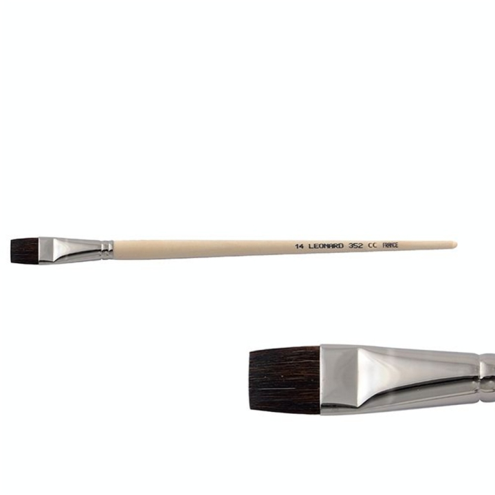 Brosse plate courte Bœuf brun 352CC - Léonard - Rougier et Plé