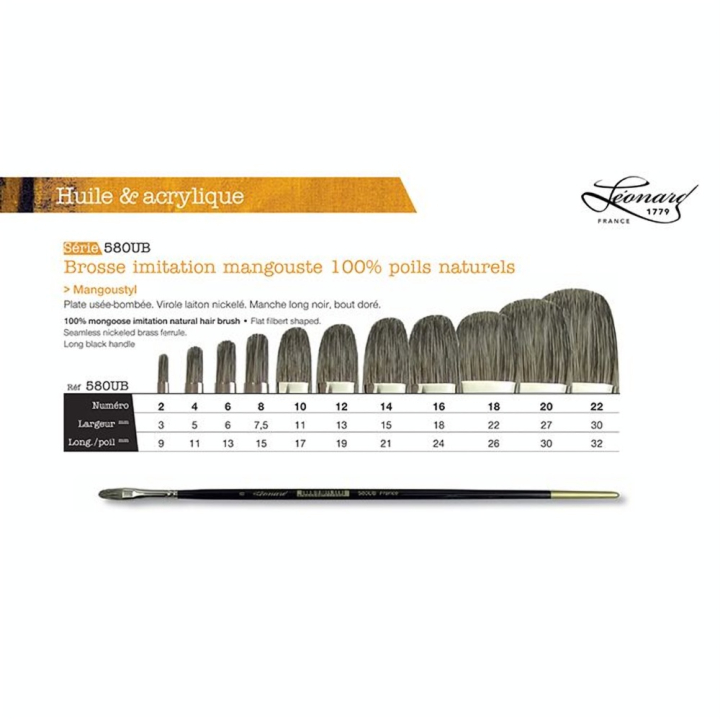 Brosse usée bombé imitation mangouste 580UB - Léonard - Rougier et Plé