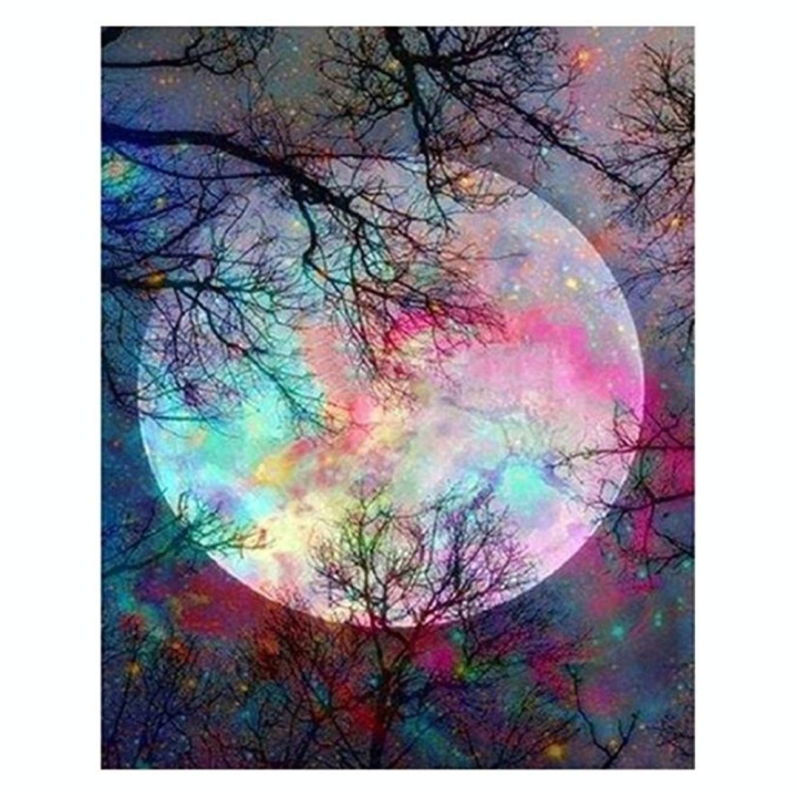 Peinture par numéro Pleine Lune aux reflets multicolores - Figured'Art - Rougier et Plé