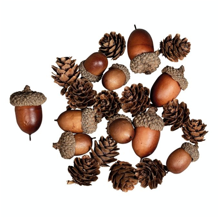 Pomme de pin et Gland mix de 27 pcs - Rayher - Rougier et Plé