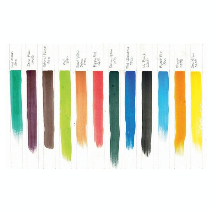 Encre aquarellable Inktense 12 demi-godets - Derwent - Rougier et Plé