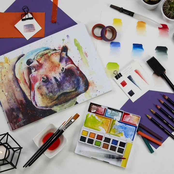 Crayon d'encre aquarellable Inktense - Derwent - Rougier et Plé