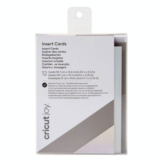 Kit carterie Holographique gris et argent à personnaliser - Cricut - Rougier et Plé