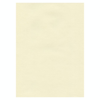 Papier Ingres The Collection 100 g/m² 48 x 62,5 cm - Hahnemühle - Rougier et Plé