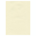 Papier Ingres The Collection 100 g/m² 48 x 62,5 cm - Hahnemühle - Rougier et Plé
