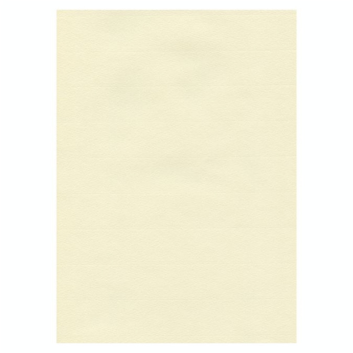 Papier Ingres The Collection 100 g/m² 48 x 62,5 cm - Hahnemühle - Rougier et Plé