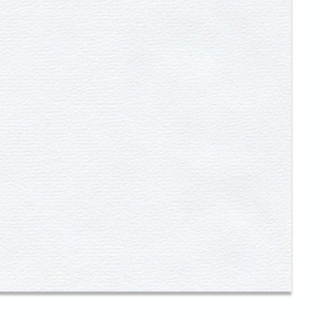 Papier Ingres The Collection 150 g/m² 78 x 104 cm Blanc - Hahnemühle - Rougier et Plé