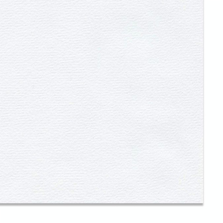 Papier Ingres The Collection 150 g/m² 78 x 104 cm Blanc - Hahnemühle - Rougier et Plé