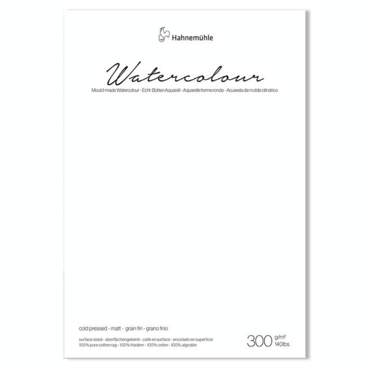 Papier aquarelle grain fin The Collection Watercolour 300 g/m² - Hahnemühle - Rougier et Plé