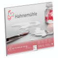 Bloc aquarelle grain fin Harmony 300 g/m² 12F - Hahnemühle - Rougier et Plé