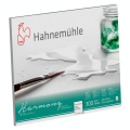 Bloc aquarelle grain satiné Harmony 300 g/m² 12F - Hahnemühle - Rougier et Plé