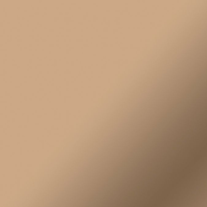 Thermocollant Smart Vinyl Permanent Champagne Mat 33 x 366 cm - Cricut - Rougier et Plé