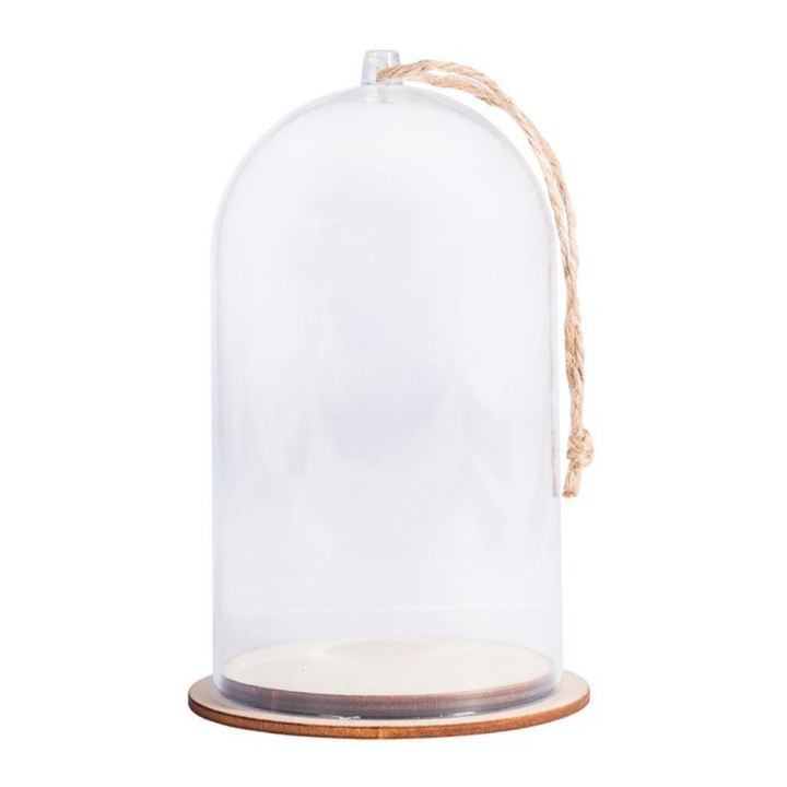 Cloche en plastique + Socle en bois 8 x 13 cm - Rayher - Rougier et Plé