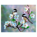 Broderie Diamant 40 x 50 cm Petits Oiseaux et Fleurs Blanches - Figured'Art - Rougier et Plé