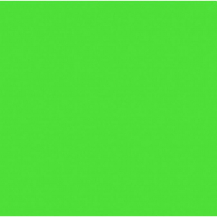 Encre Sérigraphie 236 ml Vert Citron Fluo - Speedball - Rougier et Plé