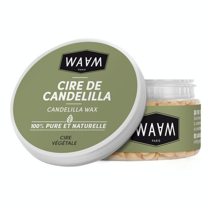Cire de Candelilla 100 g - WAAM - Rougier et Plé