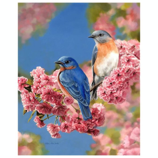 Peinture par numéro Couple d'oiseaux bleus - Figured'Art - Rougier et Plé