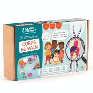 Kit de moulage Anatomie - Graine Créative - Rougier et Plé
