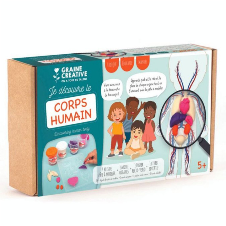 Kit de moulage Anatomie - Graine Créative - Rougier et Plé