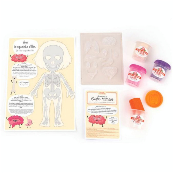 Kit de moulage Anatomie - Graine Créative - Rougier et Plé