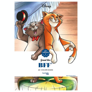 Art-thérapie Disney Grand Bloc BFF - Hachette - Rougier et Plé