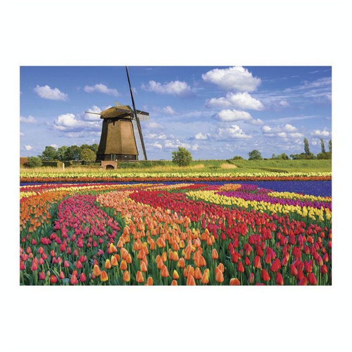 Puzzle 1000 pièces Champs de tulipes Hollande - Sentosphère - Rougier et Plé