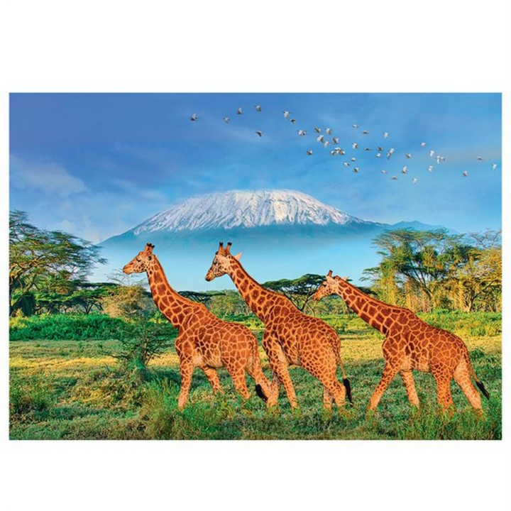 Puzzle 500 pièces XL Girafes - Sentosphère - Rougier et Plé