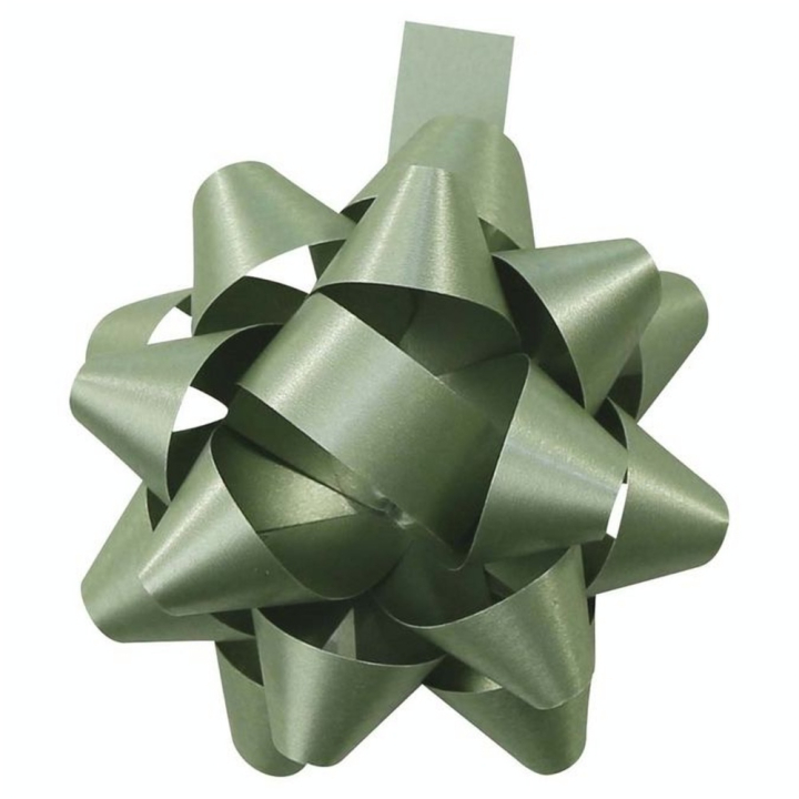 Nœud cadeau Étoile ø 5 cm Noël traditionnel - Clairefontaine - Rougier et Plé
