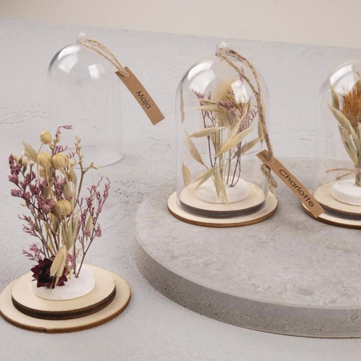 Cloche en plastique + socle - Rayher - Rougier et Plé