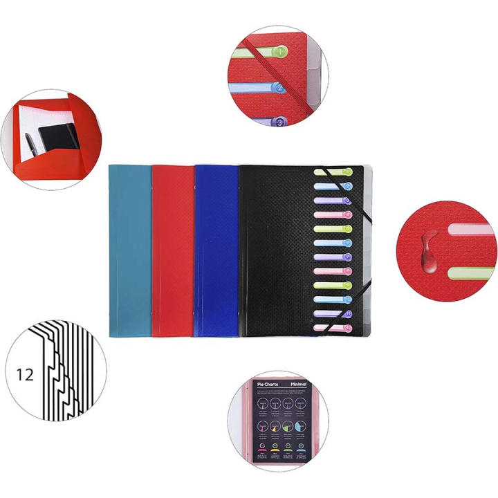 Trieur 24 x 32 cm 3 rabats 12 compartiments Opak assorti - Exacompta - Rougier et Plé