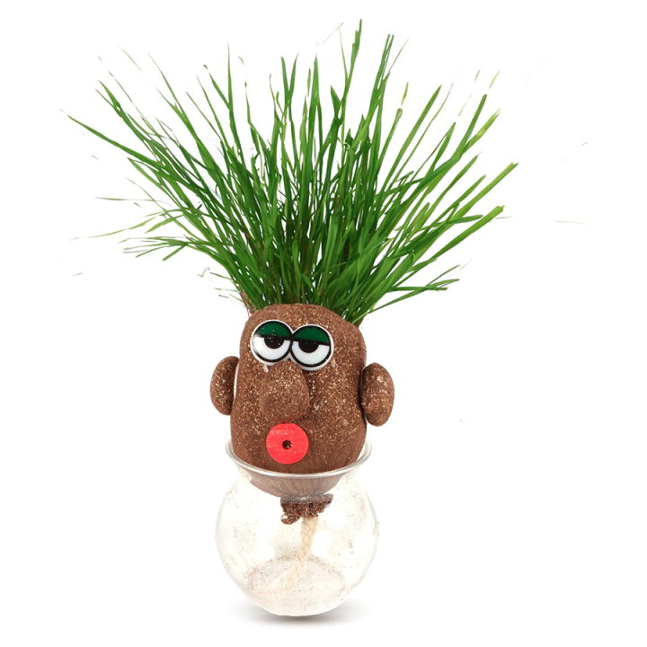Kit Plante M.Tête en herbe - MGM - Rougier et Plé