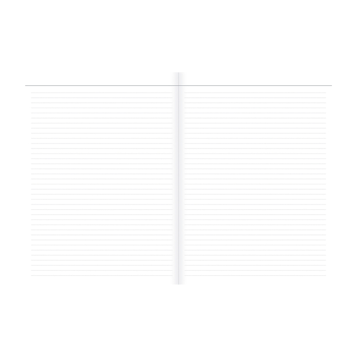 Carnet de notes 15 x 21 cm Ligné Iconique Strate - Quo Vadis - Rougier et Plé