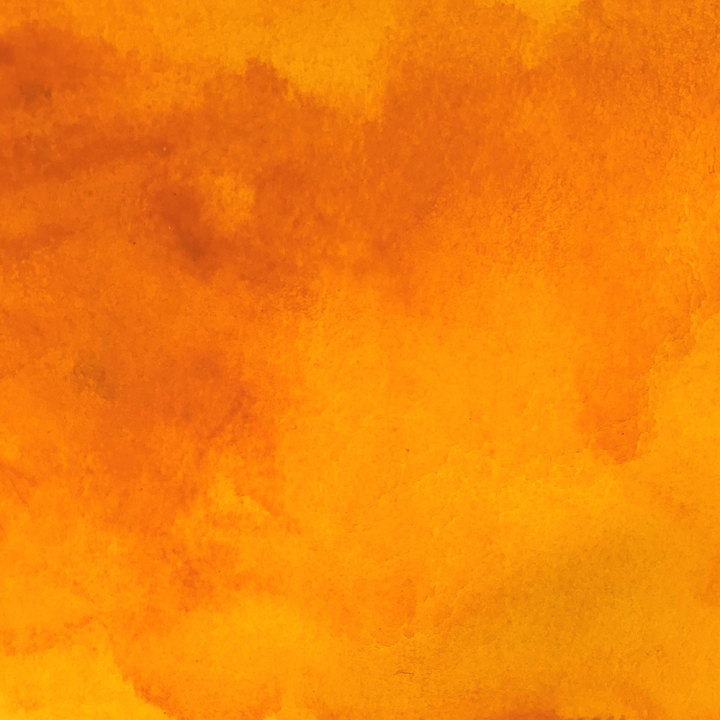 Peinture à l'huile extra-fine Artists' Oil Colour - Winsor & Newton - Rougier et Plé