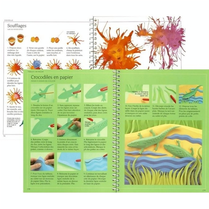 Le grand livre de l'artiste en herbe - Usborne - Rougier et Plé