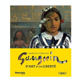 Livre Gauguin d'art et de liberté - Michel Lafon - Rougier et Plé