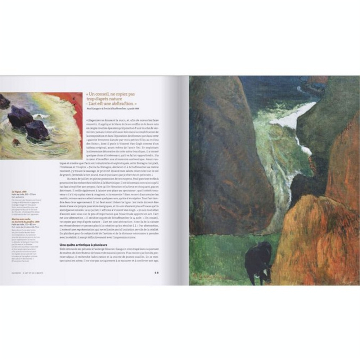 Livre Gauguin d'art et de liberté - Michel Lafon - Rougier et Plé