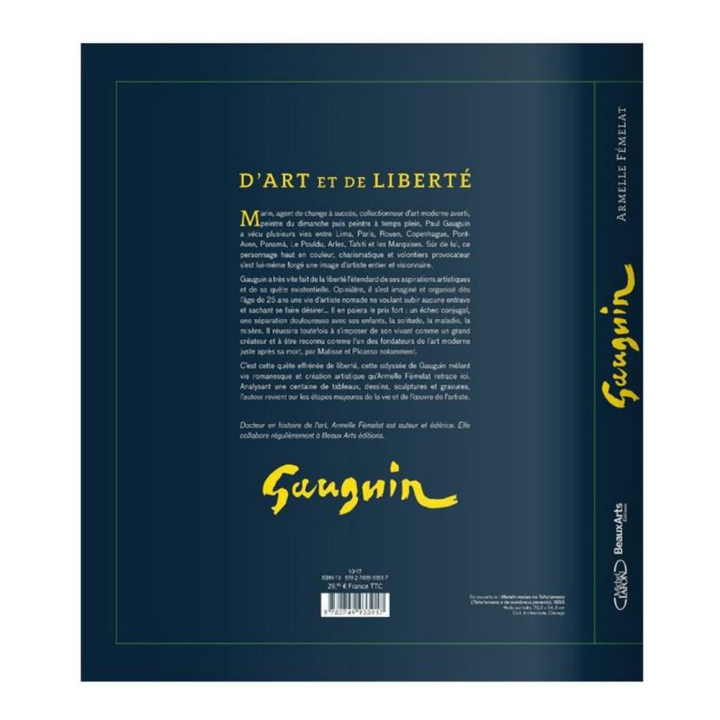 Livre Gauguin d'art et de liberté - Michel Lafon - Rougier et Plé