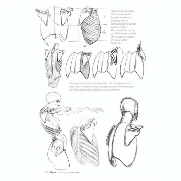 Livre Morpho Squelette et repères osseux - Eyrolles - Rougier et Plé