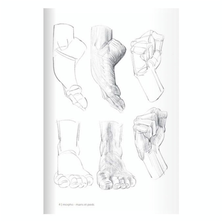 Livre Morpho Mains et pieds - Eyrolles - Rougier et Plé