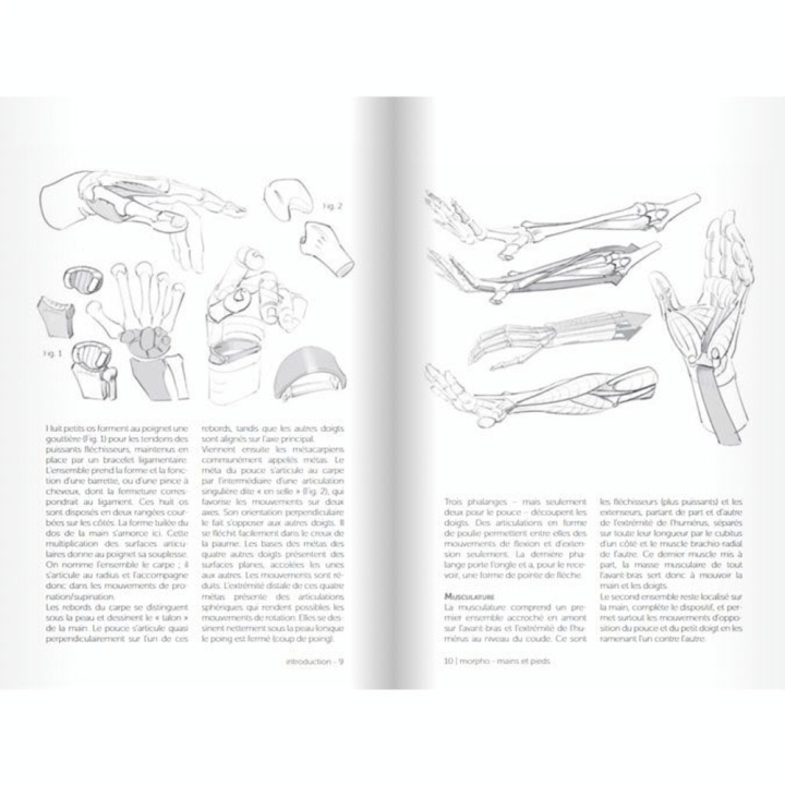 Livre Morpho Mains et pieds - Eyrolles - Rougier et Plé