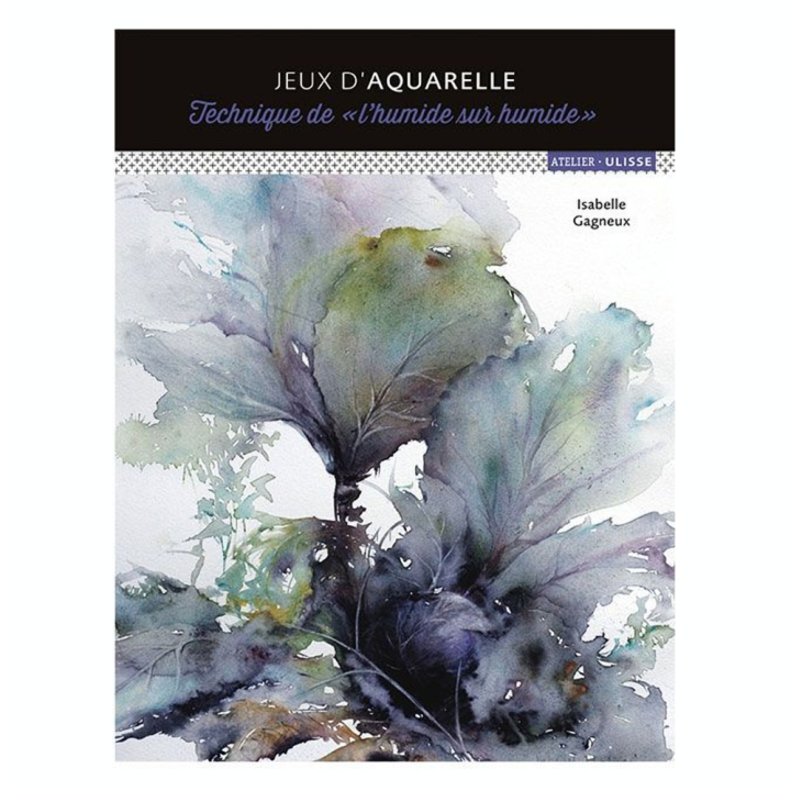Livre Jeux d'aquarelle - Ulisse - Rougier et Plé