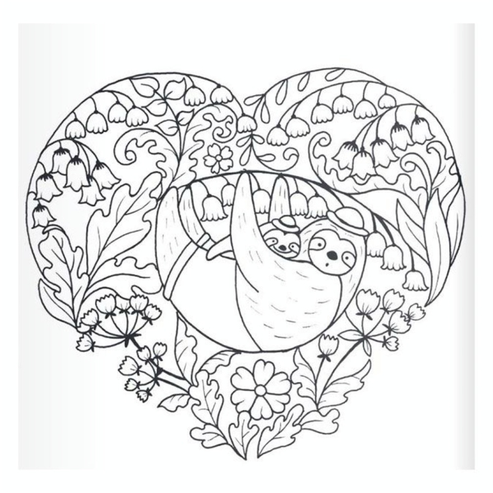Carnet de coloriage Un million de paresseux - Eyrolles - Rougier et Plé