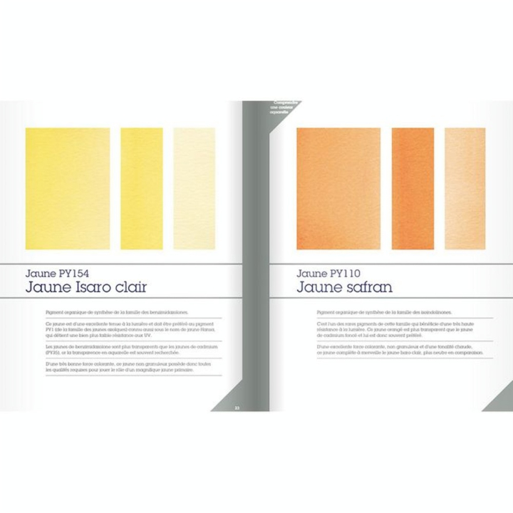 Livre Maîtriser le mélange des couleurs à l'aquarelle - Eyrolles - Rougier et Plé
