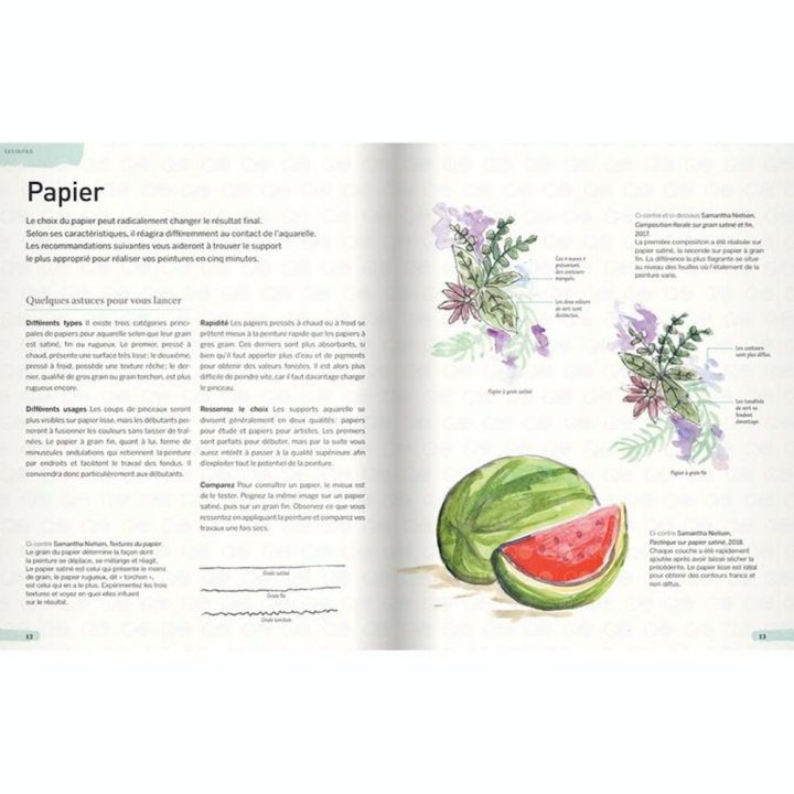 Livre 5 minutes pour peindre à l'aquarelle - Eyrolles - Rougier et Plé