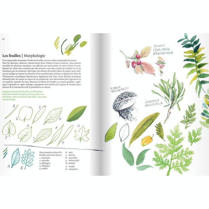 Livre Dessiner la nature - Eyrolles - Rougier et Plé