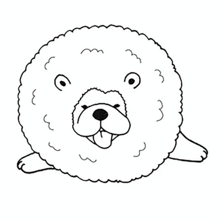 Livre de coloriage Un million de Chiens - First Editions - Rougier et Plé