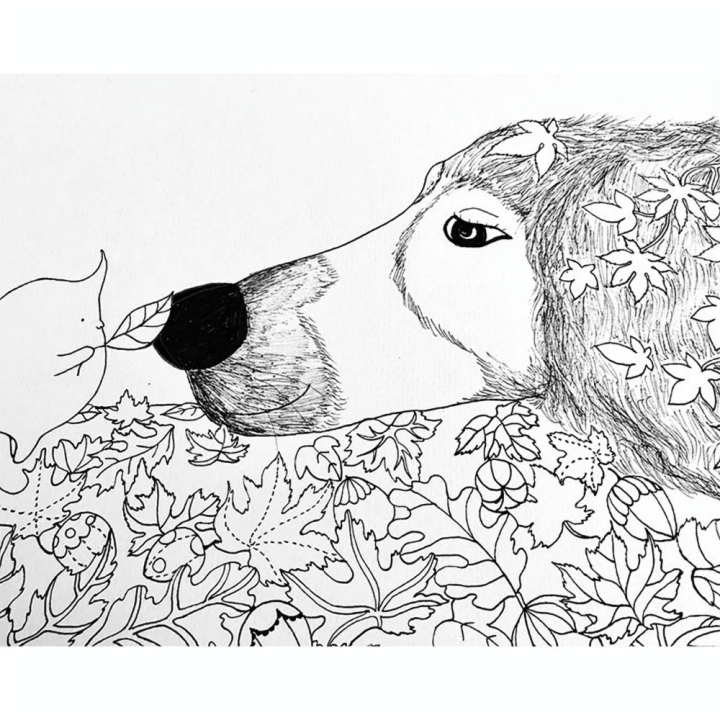 Livre de coloriage Un million de Chiens - First Editions - Rougier et Plé