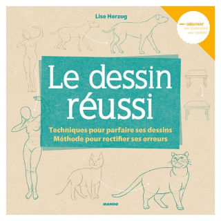 Livre Le Dessin réussi - Mango - Rougier et Plé